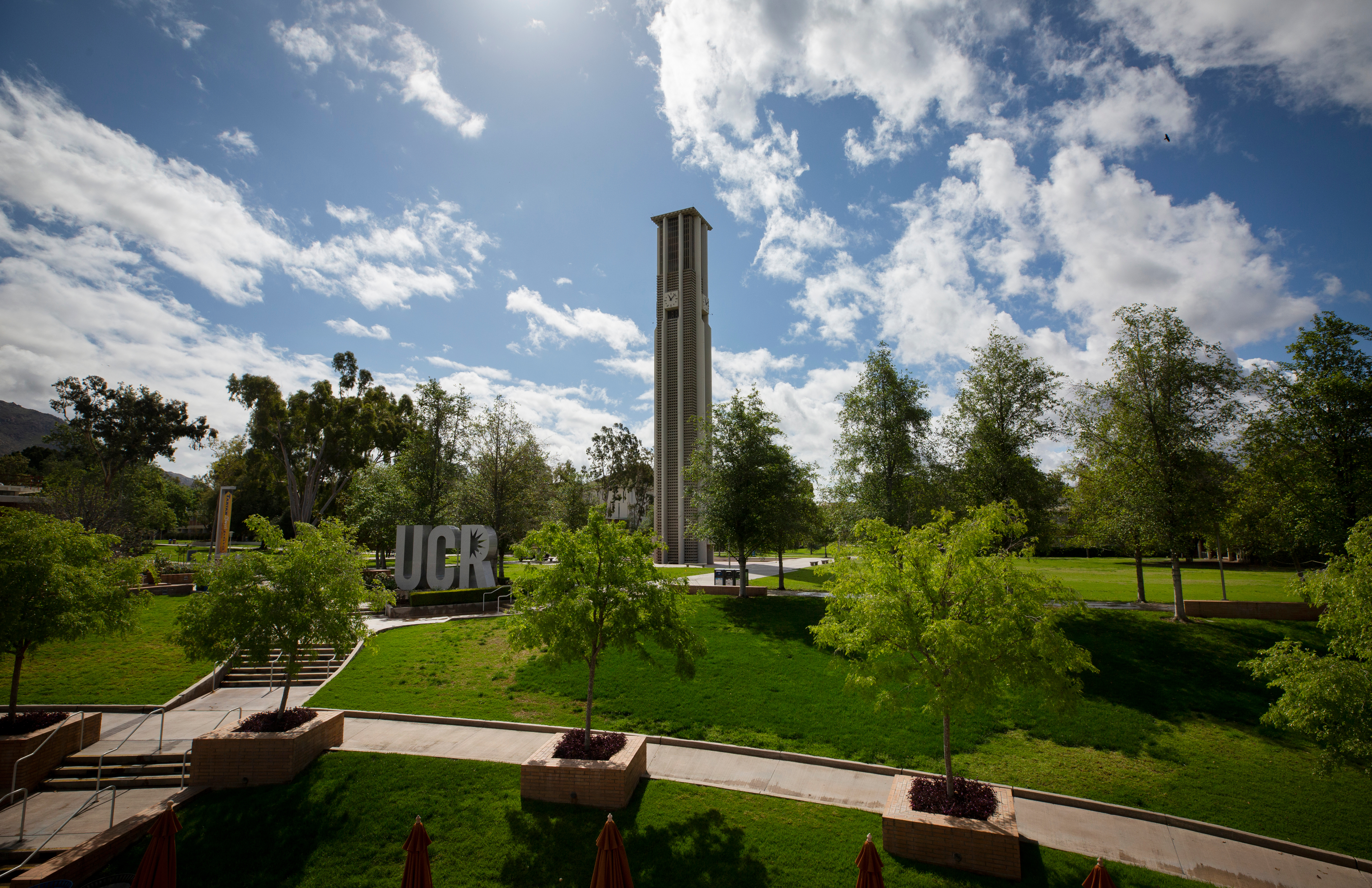 UC Riverside campus walkway and trees