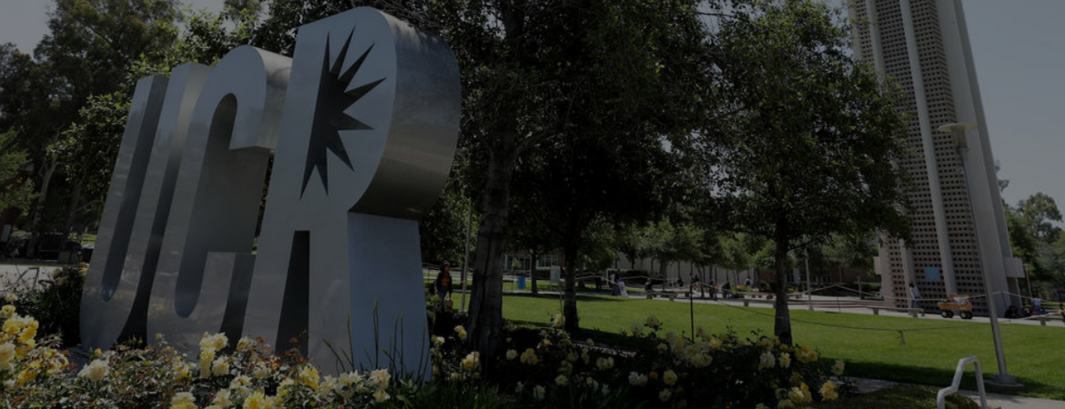 UCR campus sign surrounded by landscaping and trees near a campus walkway.