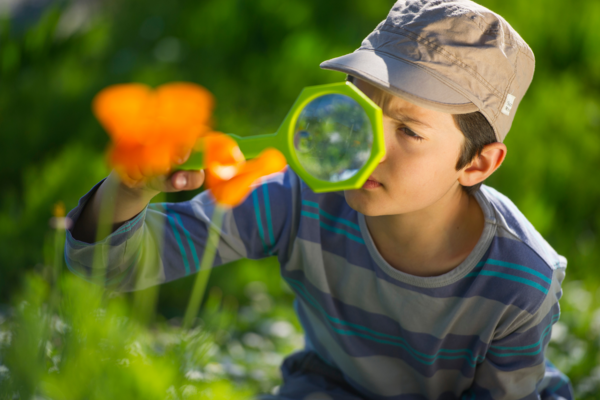 boy looking at poppy in magnifying glass