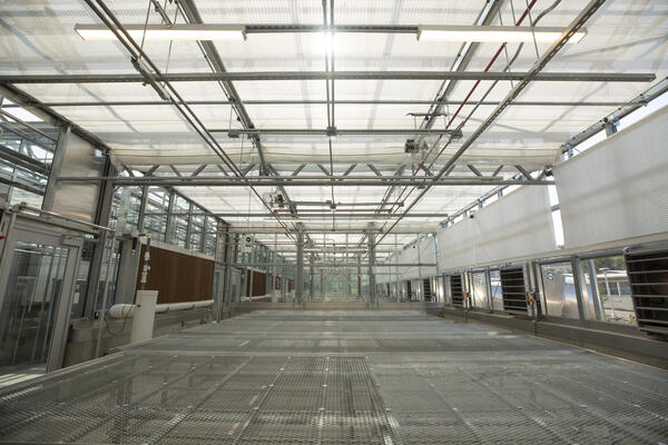 Plant growth facility