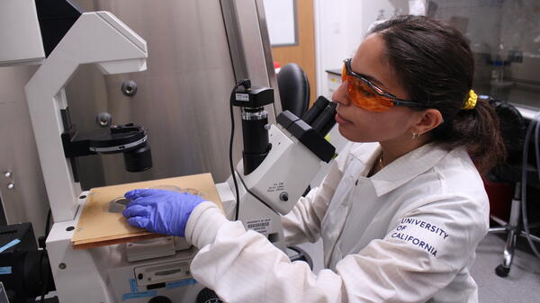 Janna Soliman conducts regenerative medicine research at UC Riverside.