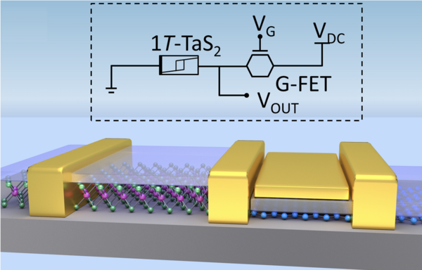 Schematic of CDW device