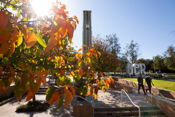 fall leaves in foreground of UCR bell tower