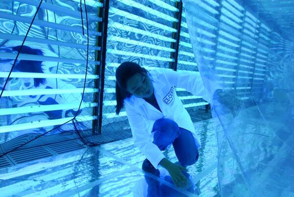 a young woman in a lab coat in the atmospheric chamber